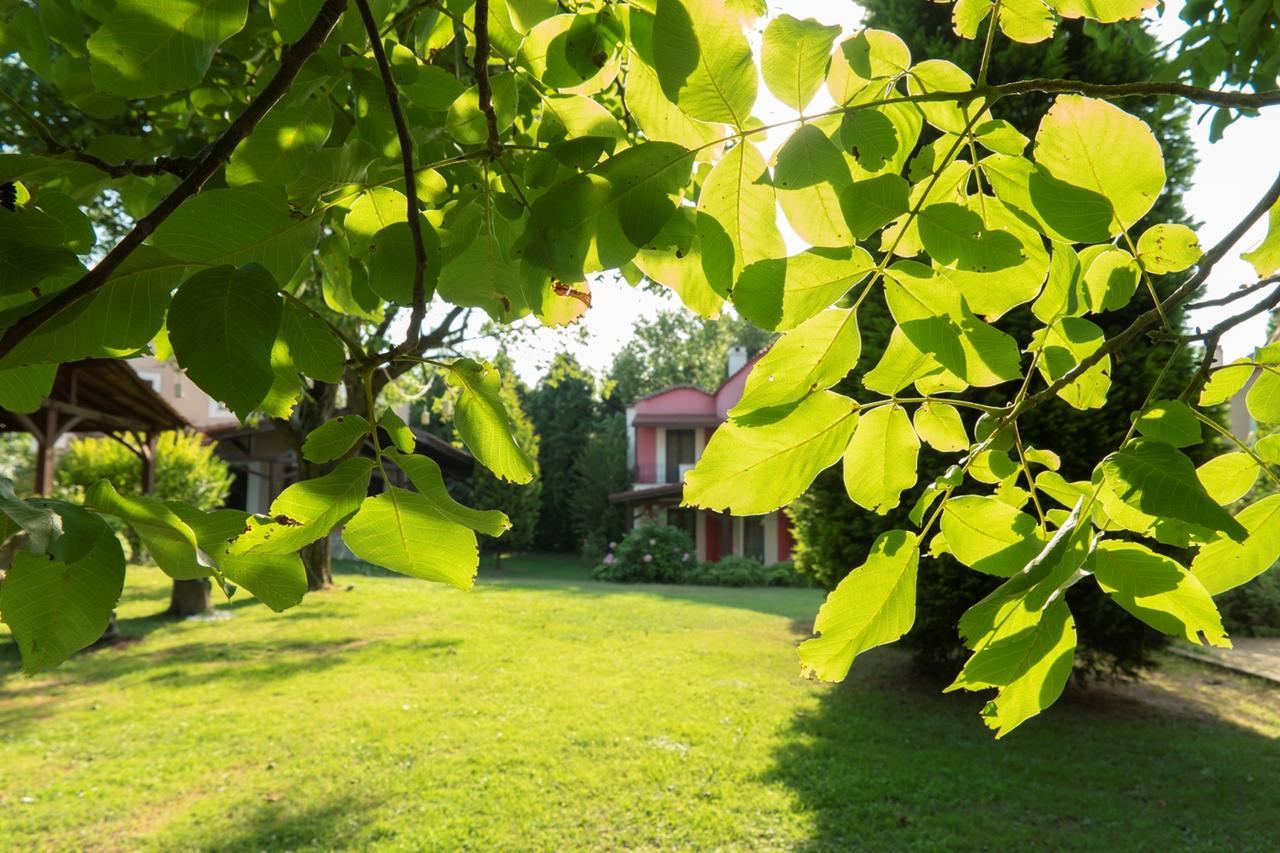 Kirkpinar Konaklari Villa Sapanca Dış mekan fotoğraf